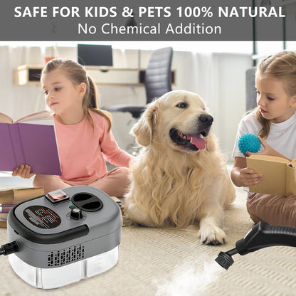 Portable steam cleaning machine with a large water tank for convenient household cleaning sessions.
